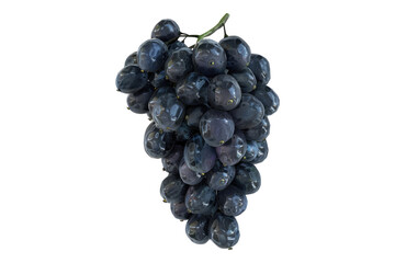Fototapeta premium Bunch of black grapes isolated on transparent background