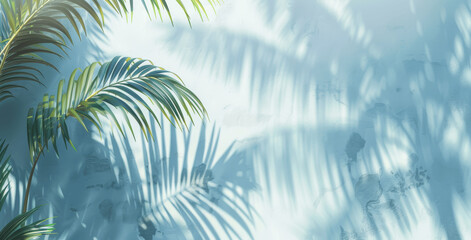 Abstract Palm Tree Shadow on White Wall with Blurred Dreamy Light Blue and Gray Background Summer Vacation Concept