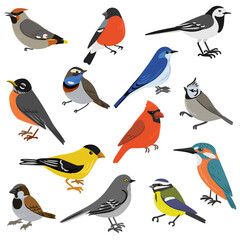 vector drawing set of birds, isolated nature design elements, hand drawn illustration