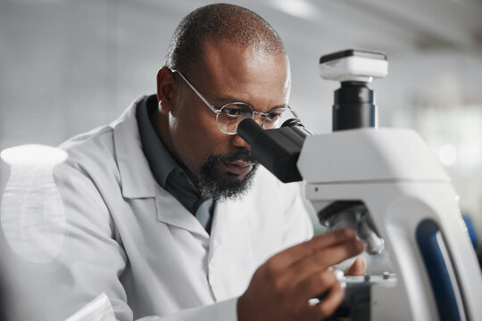 Healthcare, microscope and science with man in lab for medical or pharmaceutical research. Innovation, sample and study with African scientist at work for analysis, development or experiment results