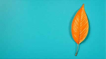  A single orange leaf on a turquoise background. 6