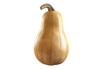 Butternut squash isolated on transparent background