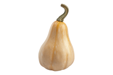 Butternut squash isolated on transparent background