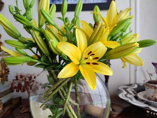 yellow flower on a table. yellow water lily flower and buds