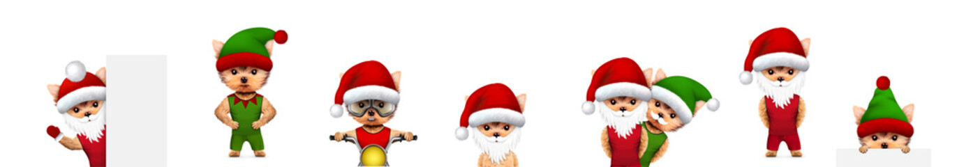 Funny Dog Santa wearing hat, beard and moustache with Elf. Christmas concept