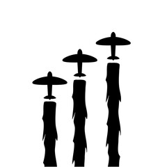 Air plane show silhouette