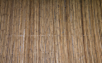 bamboo wall