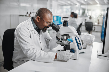 Scientist, black man and research with microscope in lab for medical, development and dna test. Mature person, science and biotech with review for stem cell, investigation and growth in vaccine study