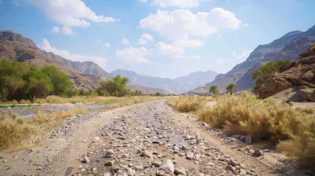 The dry riverbeds, or wadis, in the desert tell tales of ancient waters that once flowed through these arid lands.