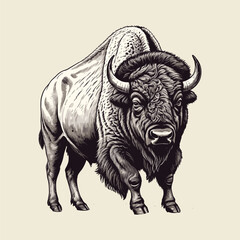 Detailed Vector Illustration of a Bison © Mitu