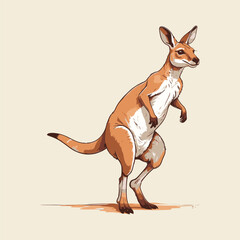 Stylized Vector Illustration of a Kangaroo © Mitu