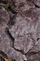 Close-Up of Rough Rock Formation with Natural Texture and Green Foliage