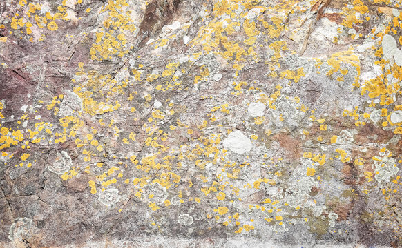 Stone texture close-up with colorful spots and lichens or Fungal stains on rocks outdoors background