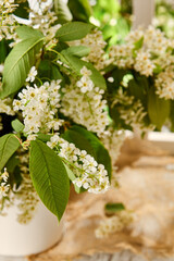 Rustic Floral Arrangement in White Pitcher with Sunlit Background
