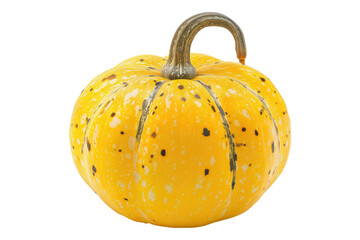 Squash yellow isolated on transparent background