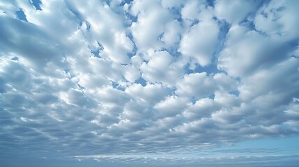 Naklejka premium Majestic Altocumulus Cloud Formation Blanketing the Serene Sky