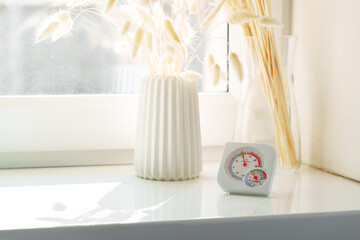 White Windowsill With Dried Flowers and a Thermometer