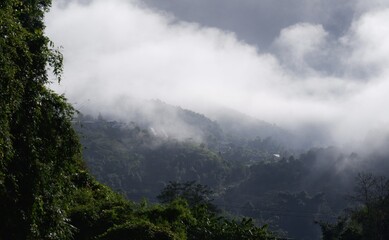 fog in the mountains