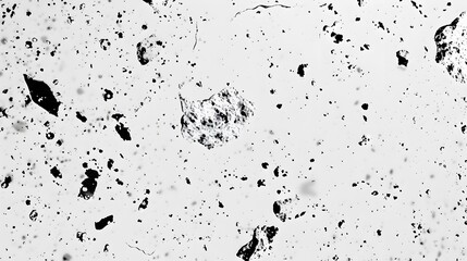 Fototapeta premium A white background with a lot of small white and black dots
