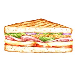 Sandwich fast food delicious illustration on white	