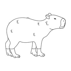 Line Drawing of a Capybara