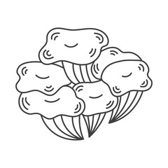 Oyster Mushroom Doodle Line Icon. Hand drawn forest fungus sketch. Food Ingredient symbol. Isolated vector illustration