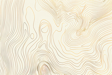 
Topographic map line background vector illustration. Topography contour pattern with copy space. Abstract line art design