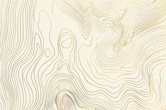 
Topographic map line background vector illustration. Topography contour pattern with copy space. Abstract line art design