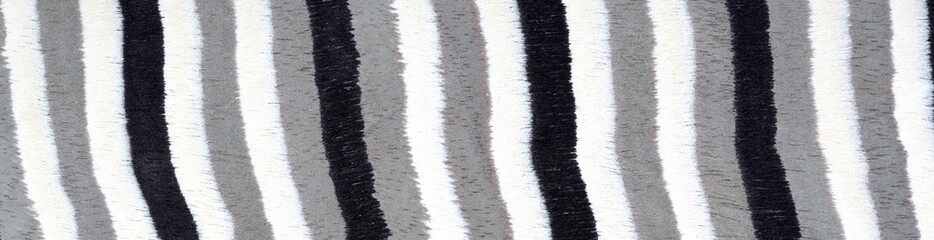 Monochrome zebra stripes pattern on a textured fabric, blending art and nature