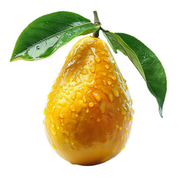 Detailed cutout of a A fresh eggfruit isolated 