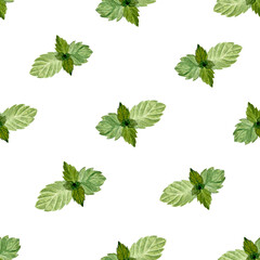 Mint leafs seamless pattern in watercolor isolated on white background, hand drawn for food design. Great for packages, textile, notebooks, wrapping paper and kitchen decor