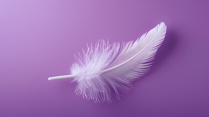 Obraz premium White feathers on purple background