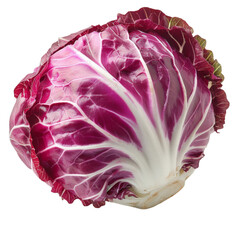 Detailed cutout of a A whole radicchio isolated 