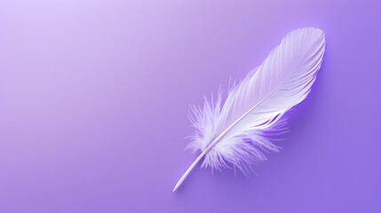 Obraz premium White feathers on purple background