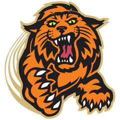 Wildcats logo