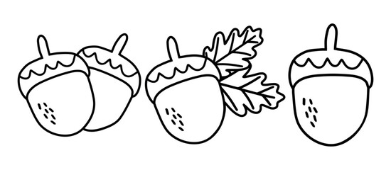 A set of Acorn icons. Cartoon Acorn