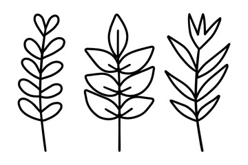 Autumn branches set isolated on a white background.