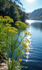 Yellow Flowers by the Lake.