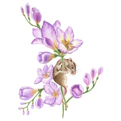 Mouse on a freesia flower branch. Watercolor illustrations of animals. Cute animals for invitations, greeting cards, baby showers and other celebrations. For printing stickers. Drawing of mammals