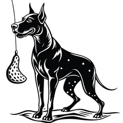 Obraz premium great dane dog fishing working on white background