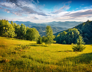 Fresh green scene of mountains valley. Sunny morning view of Carpathian mountains, Ukraine, Europe. Beauty of countryside concept background.