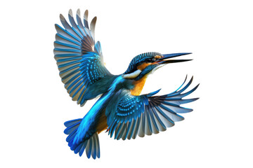 Obraz premium Flying kingfisher isolated on transparent background