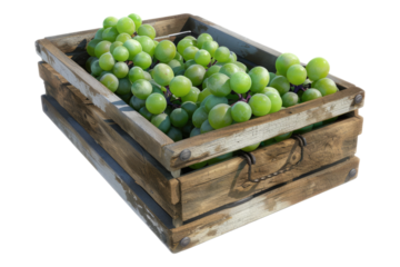Green grapes in wooden crate isolated on transparent background