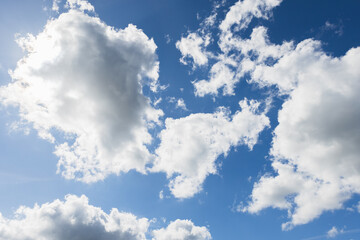 Fototapeta premium Blue sky with cumulus cloud on a sunny summer day