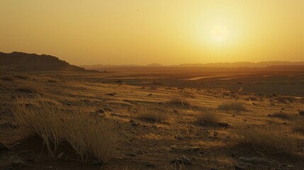 The silence of the desert is profound, broken only by the whisper of the wind and the occasional call of a distant bird.