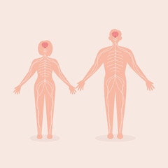 Nervous Human Organ System Flat Illustration