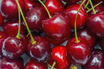 Large ripe red cherry with green stems