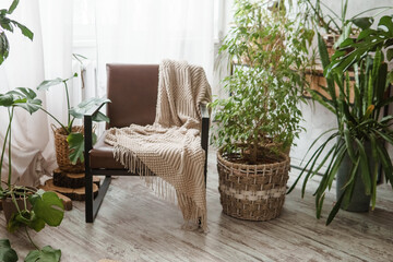 A fragment of the interior with a variety of indoor plants and plaster sculptures. Urban jungle concept. Biophilia design.