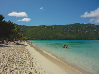 Tropical paradise island gold sandy beach and crystal clear turquoise water in Caribbean with coconut palm trees, secluded getaway cove bay pelican hideway luxury resort