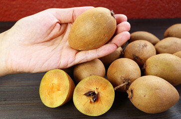 Hand Holding a Fresh Ripe Sapodilla Fruit